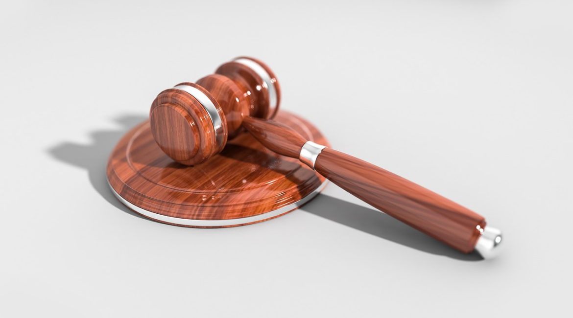 The Role of Experts in Legal Cases